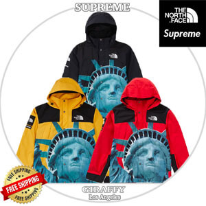 シュプリーム/The North Face Statue Of Liberty Mountain Jacket