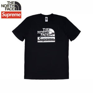 シュプリーム 偽物 シュプリーム The North Face Metallic Logo S/S Top SS18 Week 7